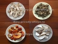 Сушеные грибы купить